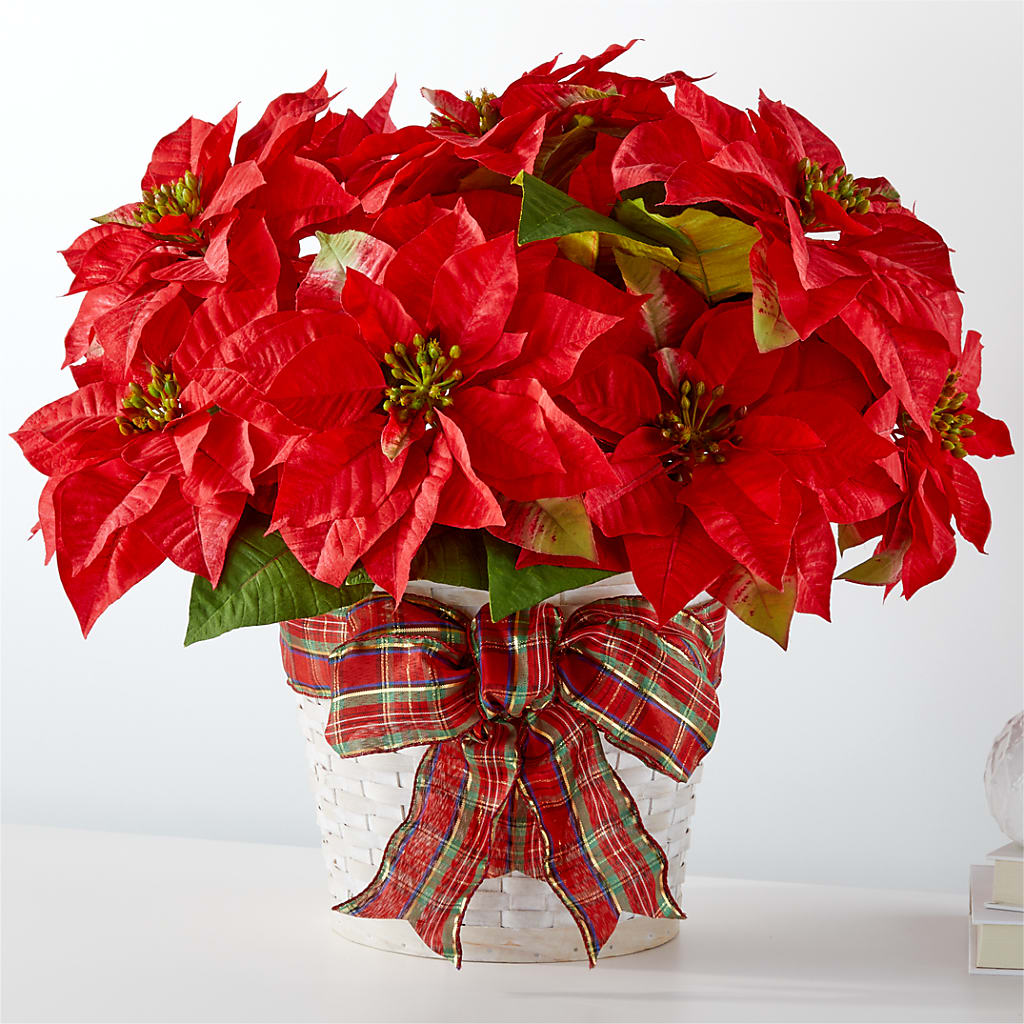 Happiest Holidays Poinsettia – Flowers By Joann, Palm Bay FL