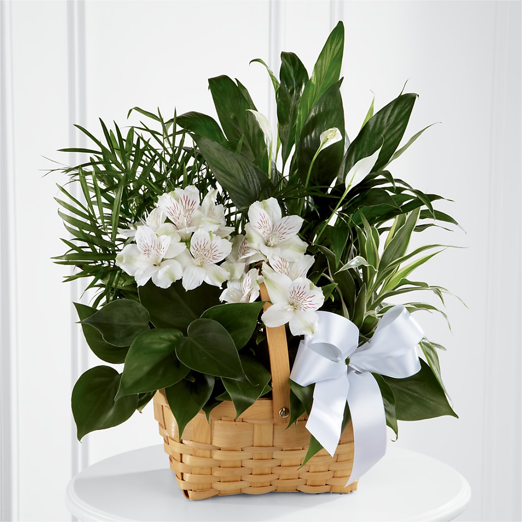 Peace & Serenity Dishgarden – Flowers By Joann, Palm Bay FL