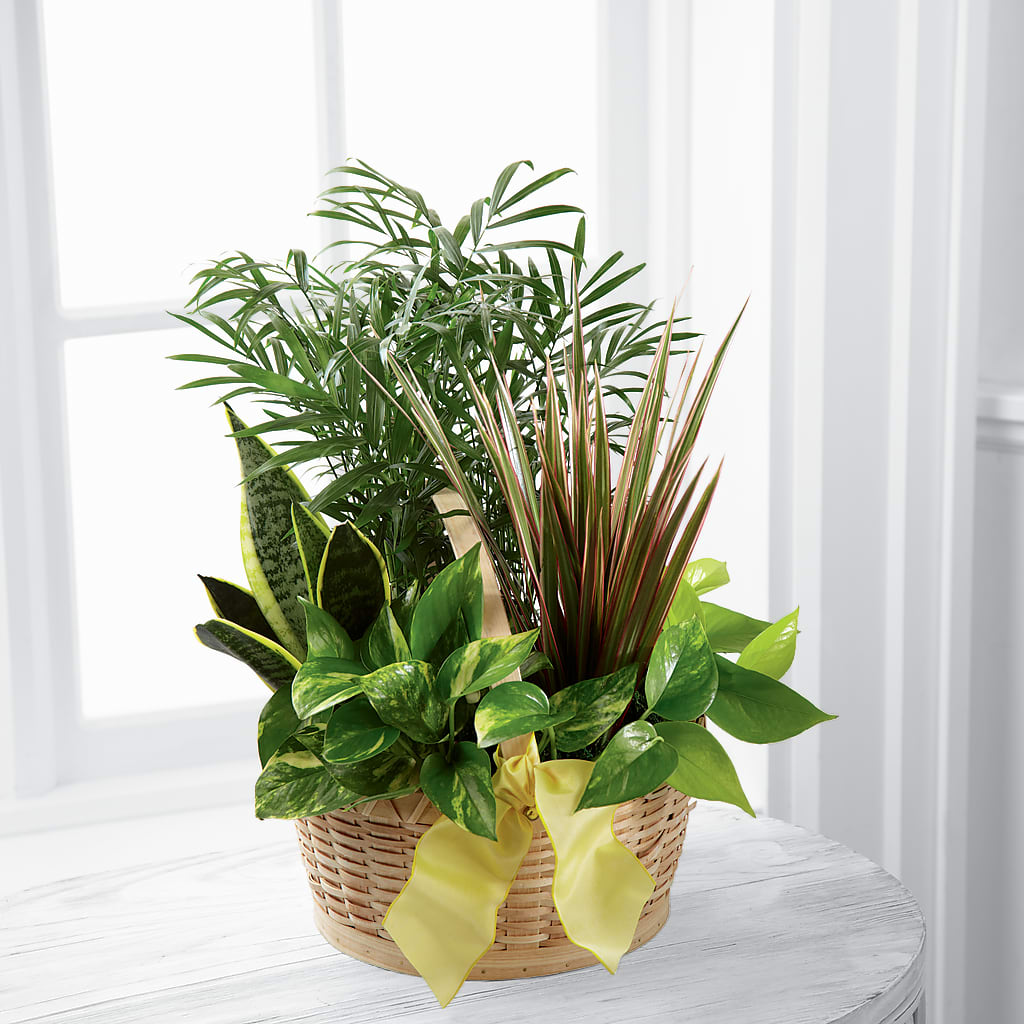 French Garden – Flowers By Joann, Palm Bay FL