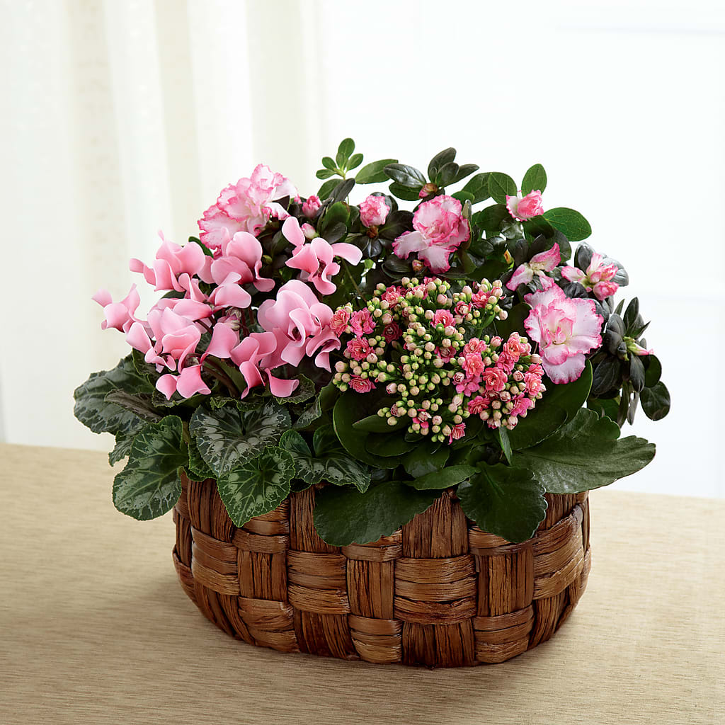 Pink Assortment – Flowers By Joann, Palm Bay FL