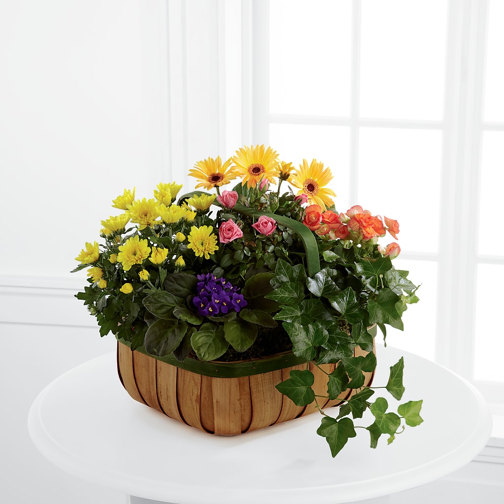 Gentle Blossoms Basket – Flowers By Joann, Palm Bay FL