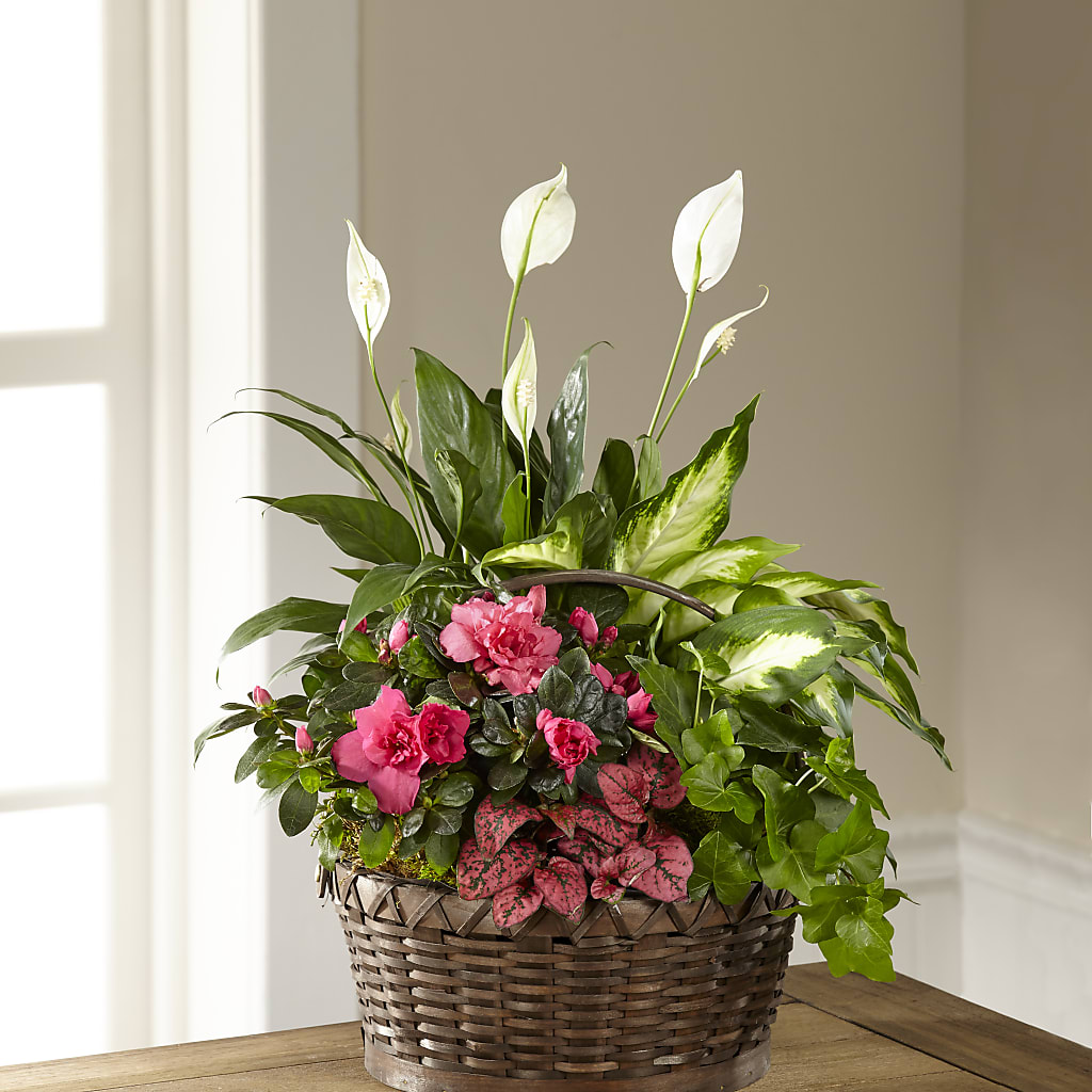Dream in Pink Dishgarden – Flowers By Joann, Palm Bay FL