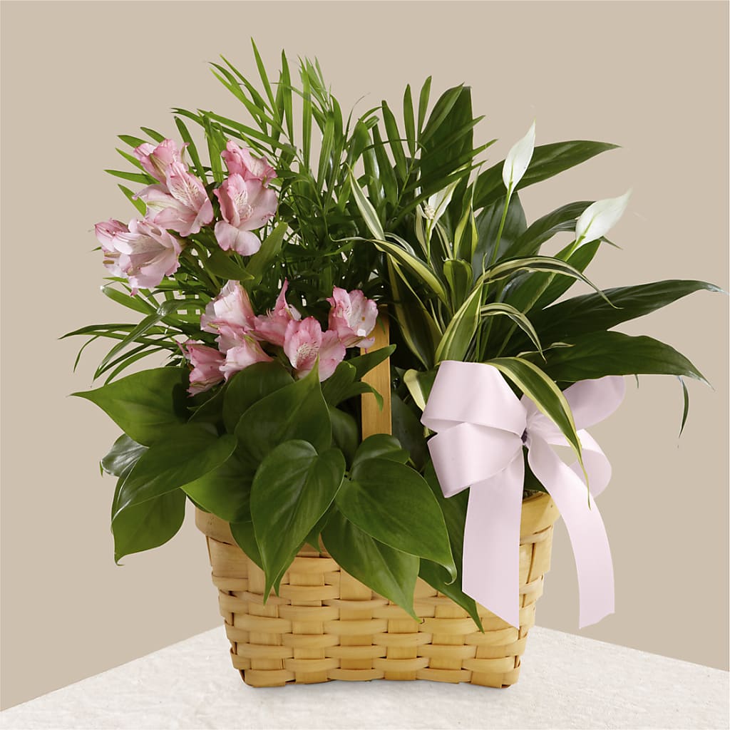 Living Spirit Dishgarden – Flowers By Joann, Palm Bay FL