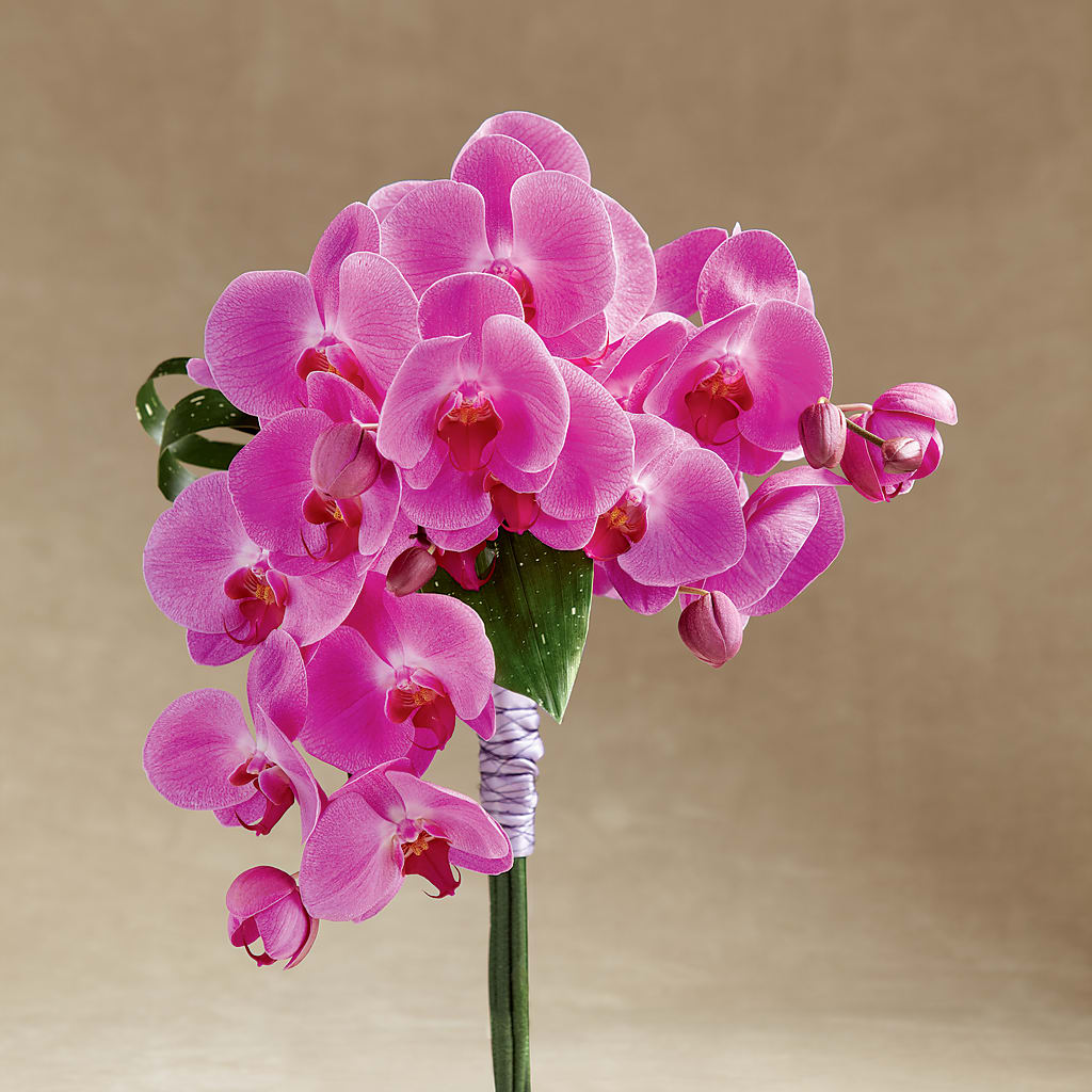 Glorious Bouquet – Flowers By Joann, Palm Bay FL