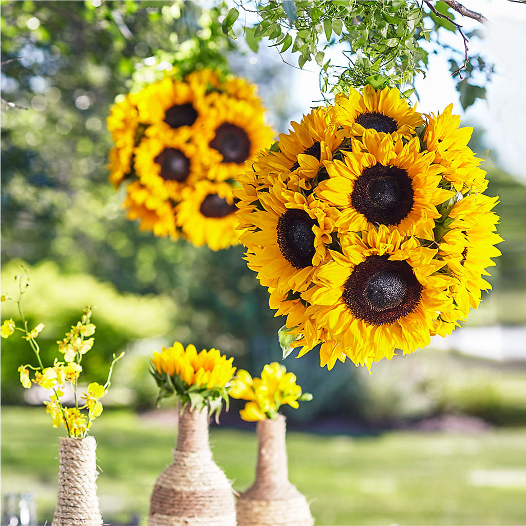 Sublime Garden Hanging Arrangement – Flowers By Joann, Palm Bay FL