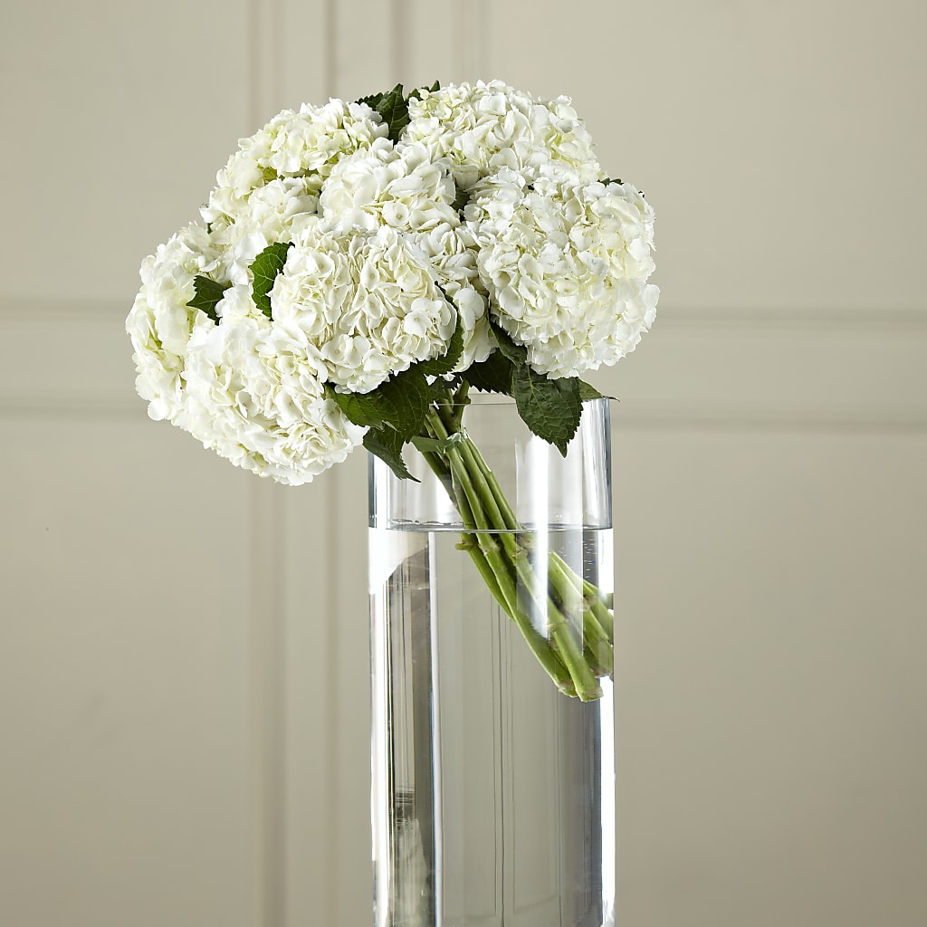 White Hydrangea Hand-Tied Bouquet – Flowers By Joann, Palm Bay FL