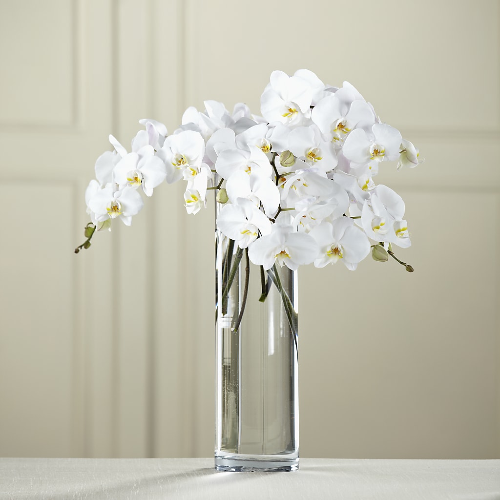 White Phalaenopsis Bouquet – Flowers By Joann, Palm Bay FL