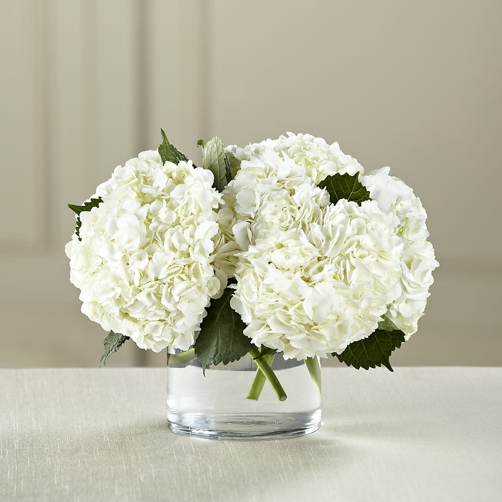 White Hydrangea Bouquet – Flowers By Joann, Palm Bay FL