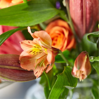 Bold & Bright – A Florist Original –  Flowers By Joann, Palm Bay FL