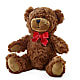 Adorable Plush Bear –  Flowers By Joann, Palm Bay FL