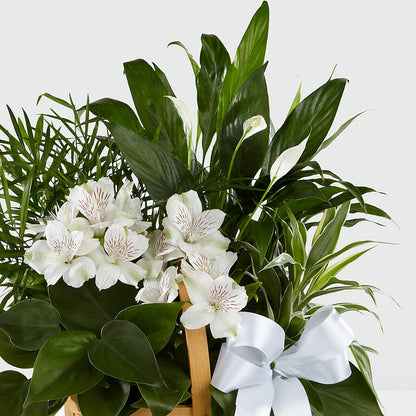 Peace & Serenity Dishgarden –  Flowers By Joann, Palm Bay FL