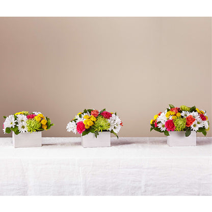 Sorbet Bouquet –  Flowers By Joann, Palm Bay FL