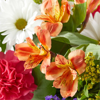 Oopsie Daisy Box Bouquet –  Flowers By Joann, Palm Bay FL