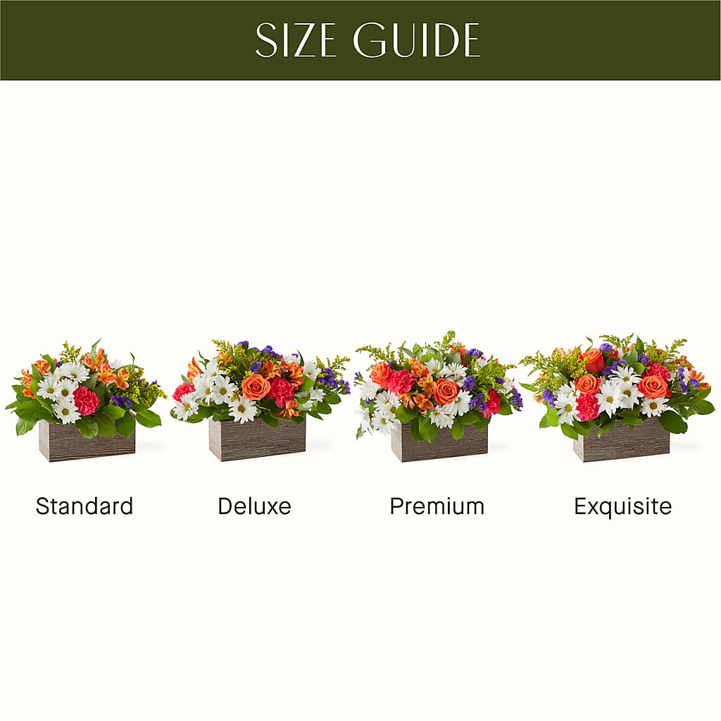 Oopsie Daisy Box Bouquet –  Flowers By Joann, Palm Bay FL