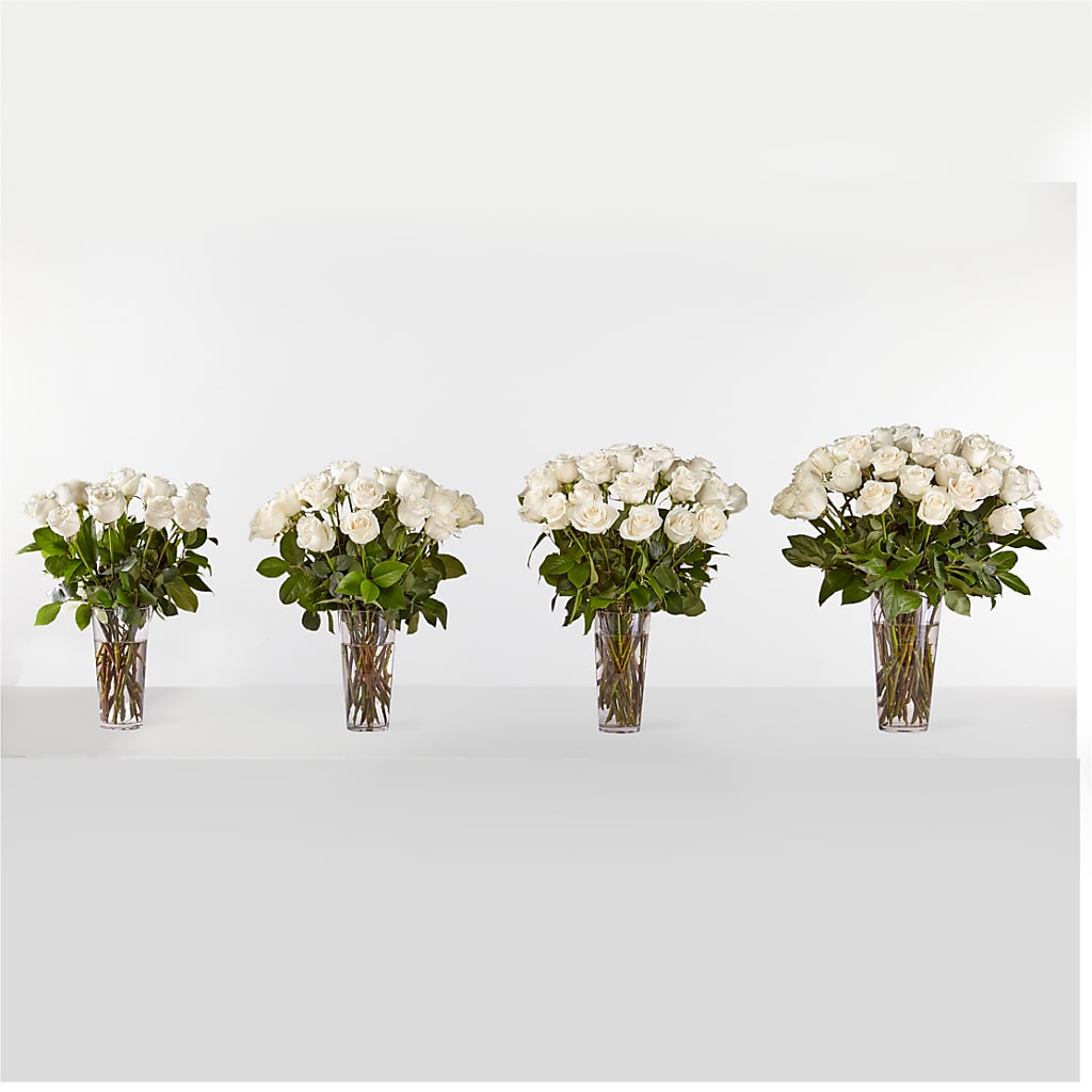 Long Stem White Rose Bouquet –  Flowers By Joann, Palm Bay FL