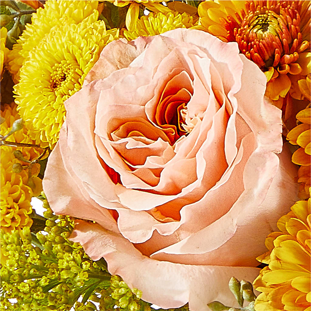 Peachy Pumpkin –  Flowers By Joann, Palm Bay FL