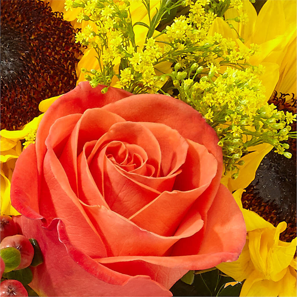 Pick of the Patch Pumpkin Bouquet –  Flowers By Joann, Palm Bay FL