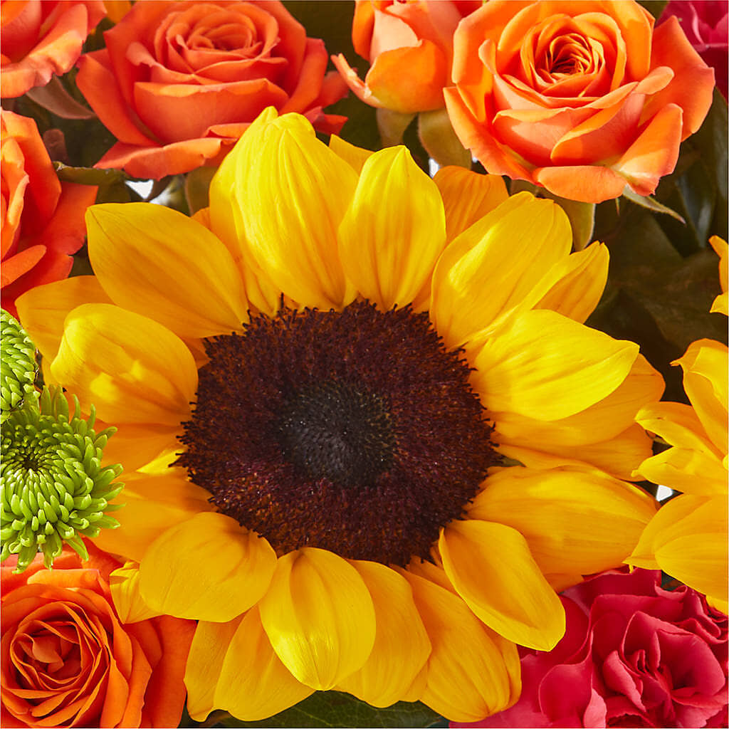Sun-drenched Blooms Box Bouquet –  Flowers By Joann, Palm Bay FL