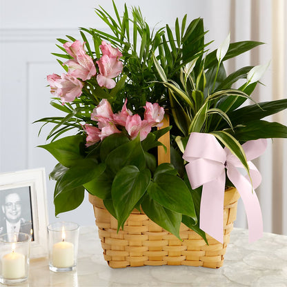 Living Spirit Dishgarden –  Flowers By Joann, Palm Bay FL