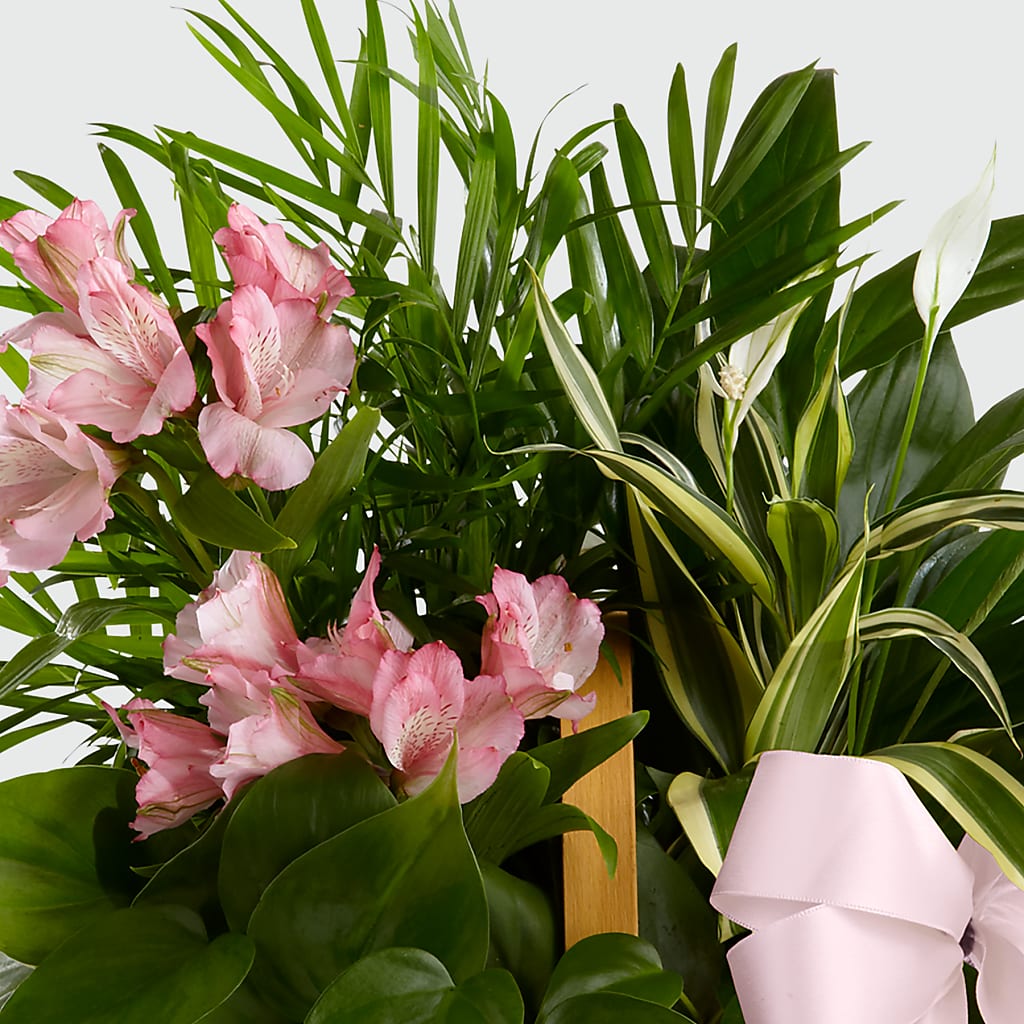 Living Spirit Dishgarden –  Flowers By Joann, Palm Bay FL