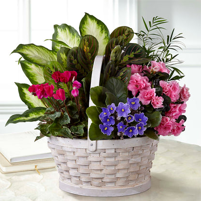 Peaceful Garden Planter –  Flowers By Joann, Palm Bay FL