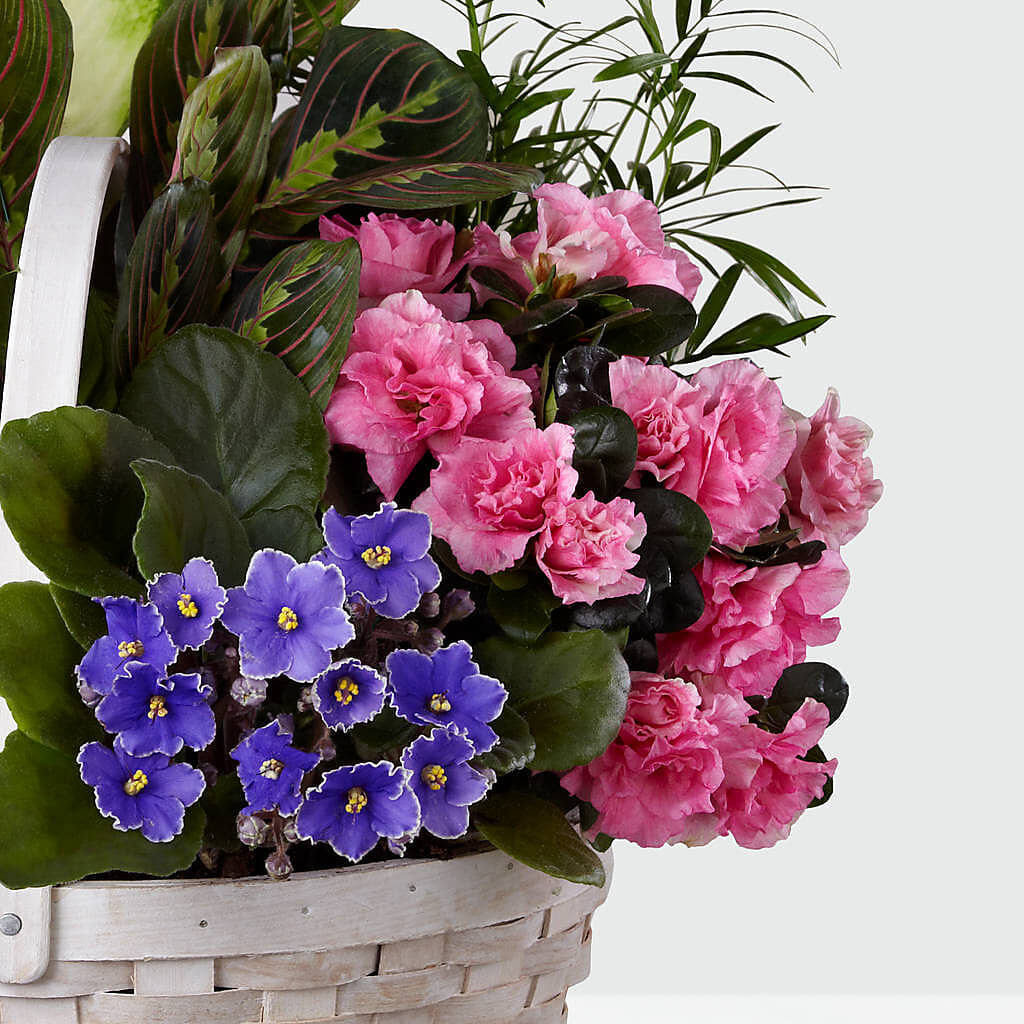 Peaceful Garden Planter –  Flowers By Joann, Palm Bay FL