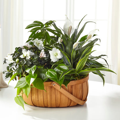 Serene Dishgarden –  Flowers By Joann, Palm Bay FL