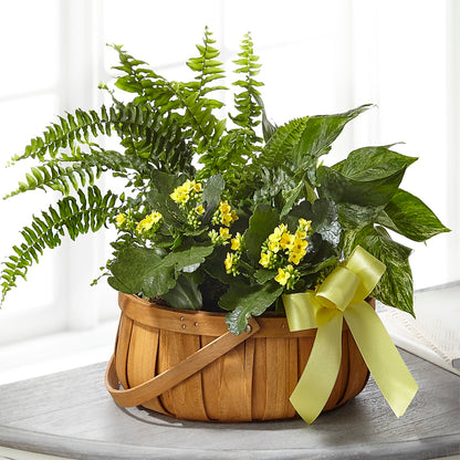 Always Dear Dishgarden –  Flowers By Joann, Palm Bay FL