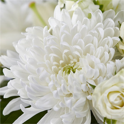 Classic Ivory – A Florist Original –  Flowers By Joann, Palm Bay FL