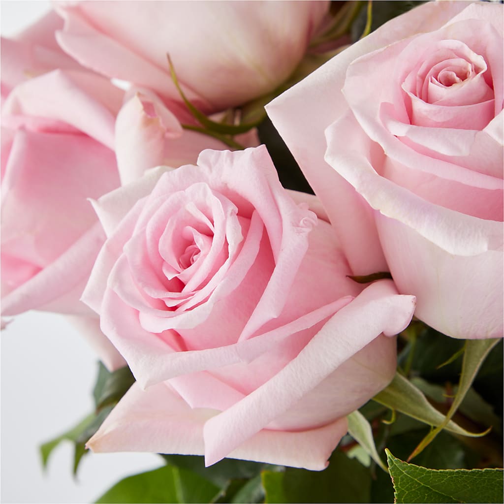 Picture Perfect Pink Rose Bouquet –  Flowers By Joann, Palm Bay FL