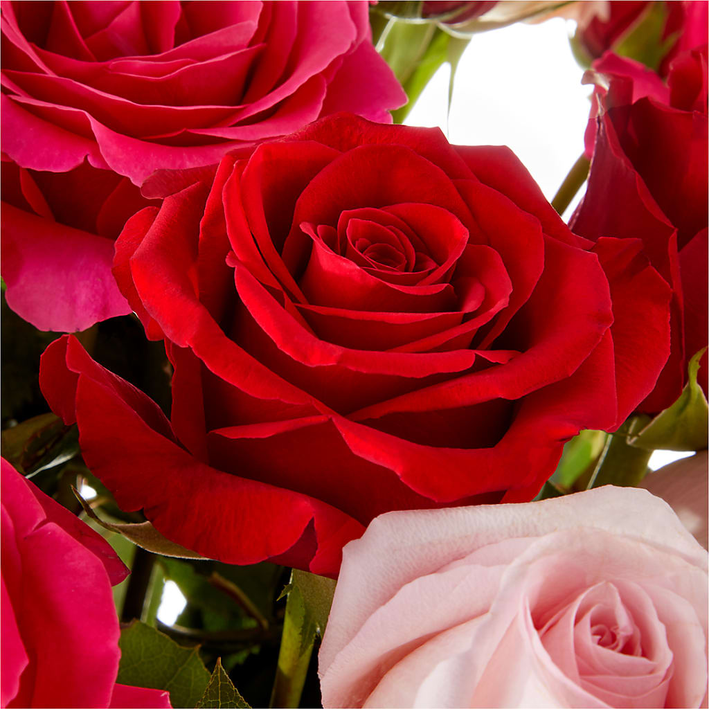 Love Notes Rose Bouquet –  Flowers By Joann, Palm Bay FL