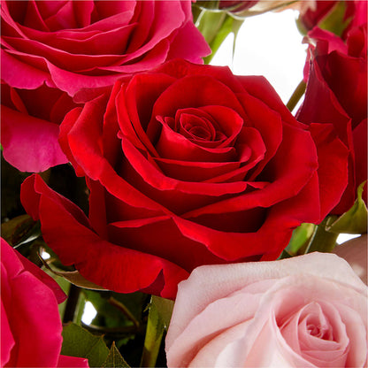 Love Notes Rose Bouquet –  Flowers By Joann, Palm Bay FL