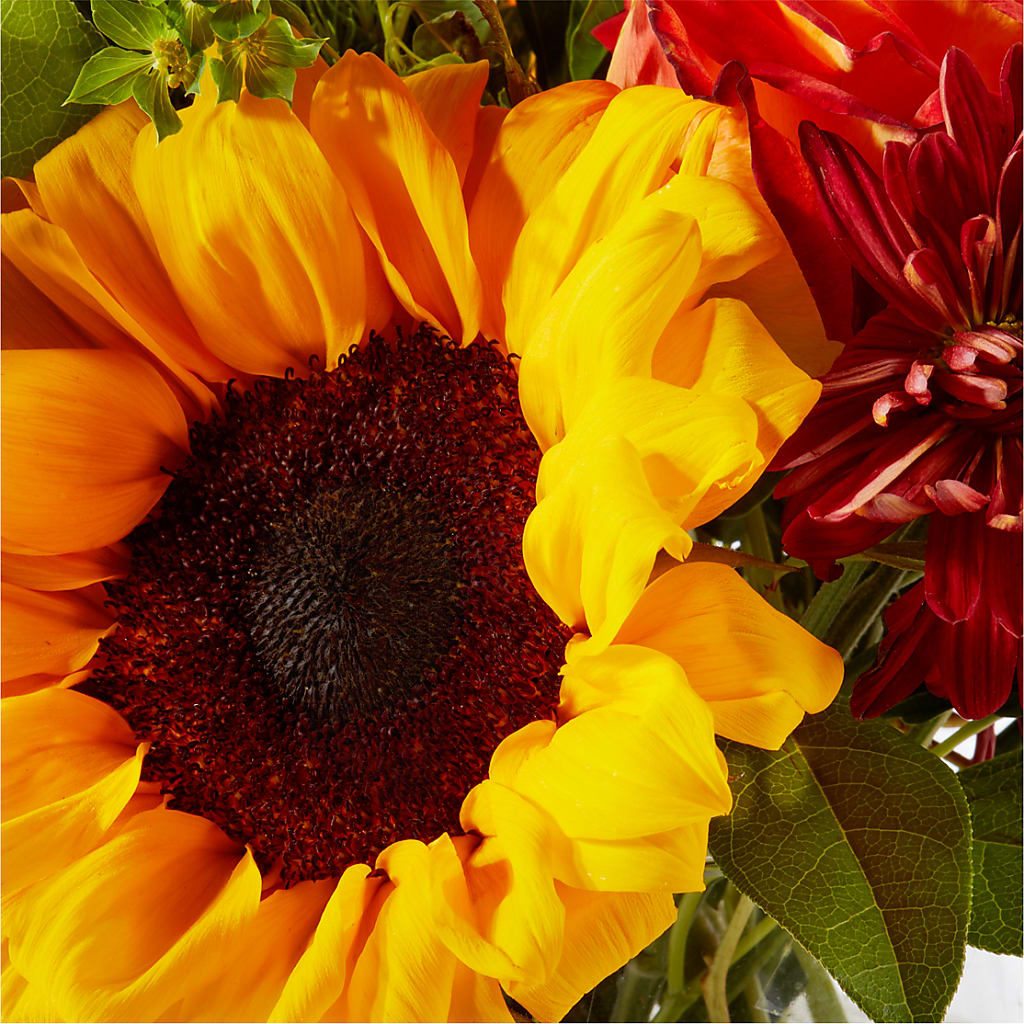 Harvest Festival Bouquet –  Flowers By Joann, Palm Bay FL