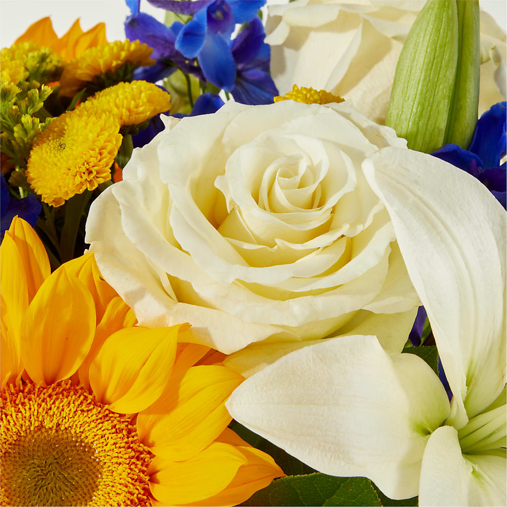 Stargazing Bouquet –  Flowers By Joann, Palm Bay FL