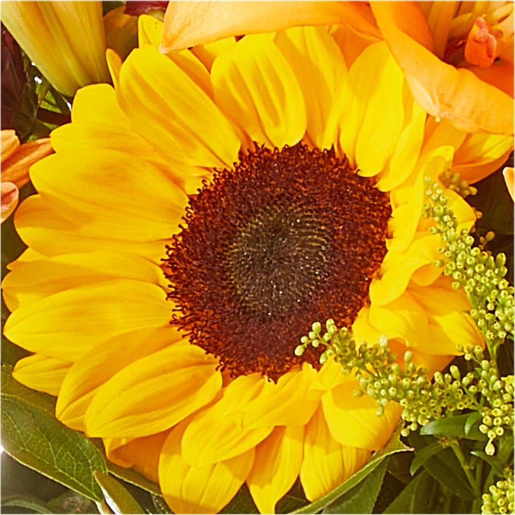 Seasons Change Bouquet –  Flowers By Joann, Palm Bay FL