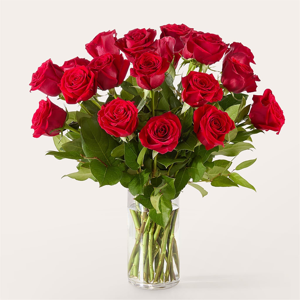 The One Red Rose Bouquet –  Flowers By Joann, Palm Bay FL