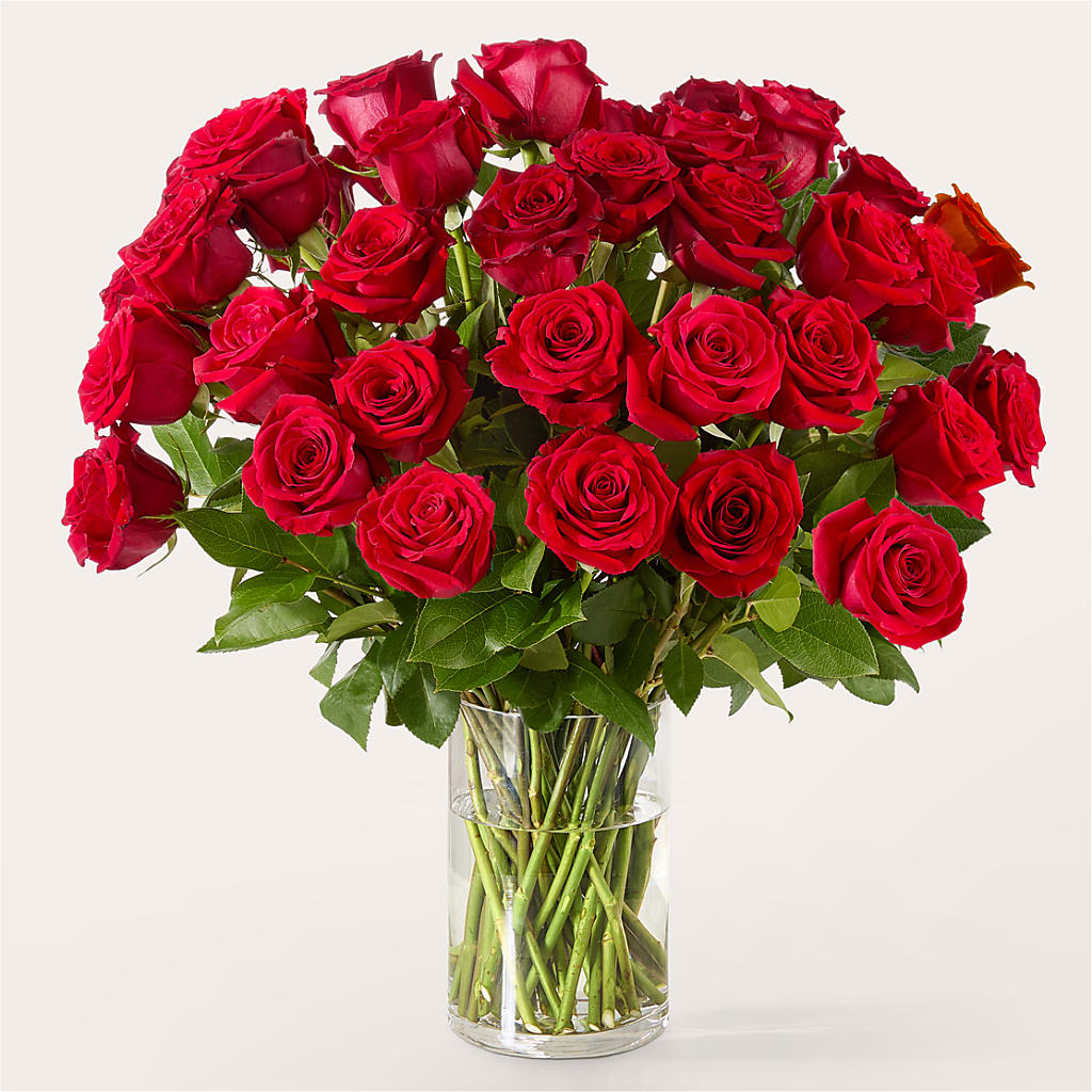 The One Red Rose Bouquet –  Flowers By Joann, Palm Bay FL