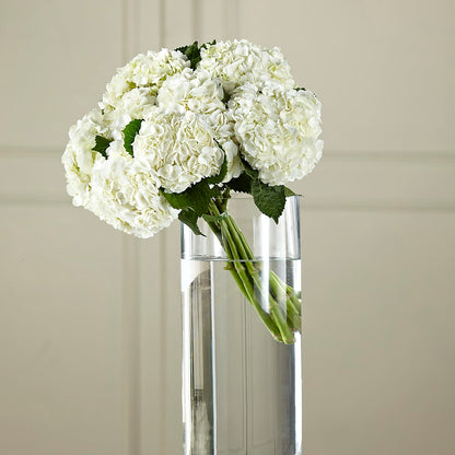 White Hydrangea Hand-Tied Bouquet –  Flowers By Joann, Palm Bay FL