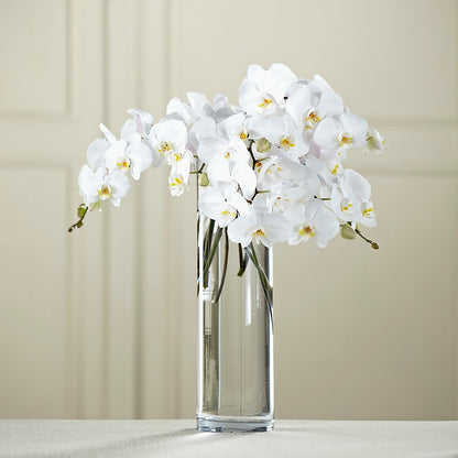 White Phalaenopsis Bouquet –  Flowers By Joann, Palm Bay FL