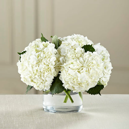 White Hydrangea Bouquet –  Flowers By Joann, Palm Bay FL